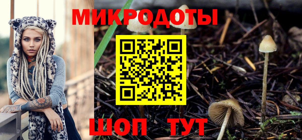 Избербаш  Галлюциногенные грибы Cubensis  Псилоцибиновые грибы Psilocybine cubensis  как найти закладки  Вход с VPN 