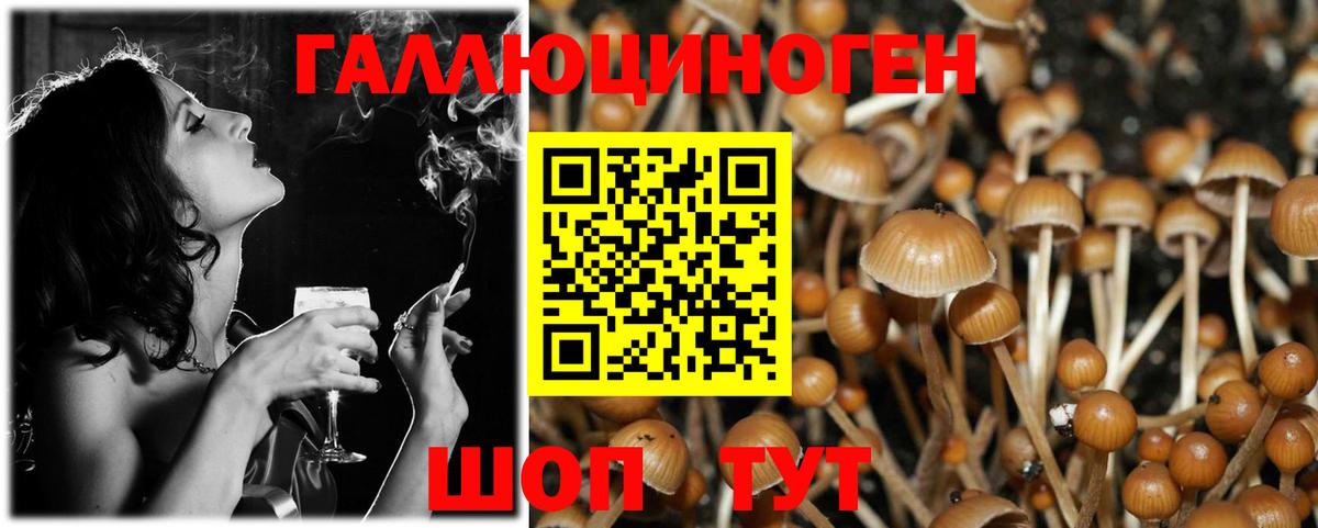 Псилоцибиновые грибы мицелий Избербаш